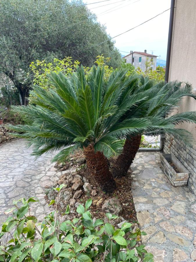 Il Giardino Delle Cycas Appartement Romito Magra Buitenkant foto